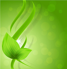 Image showing Abstract green design