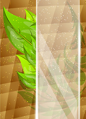Image showing Bright background with leaves