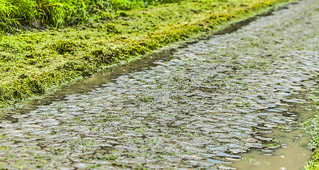 Image showing Cobbled Road in a Rainy Day