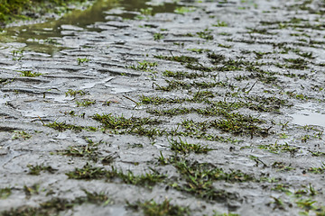 Image showing Detail of Cobbled Road in a Rainy Day