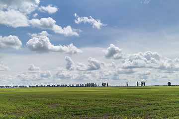 Image showing Summer landscape