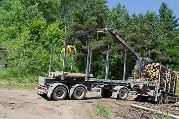 Image showing Man load felled tree logs with crane to trailer 