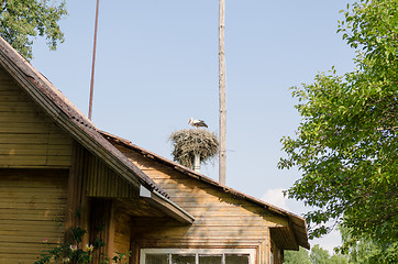 Image showing nest with stork over homestead roof in summer 