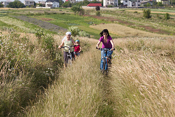 Image showing Family riding a bicycles in the meadow