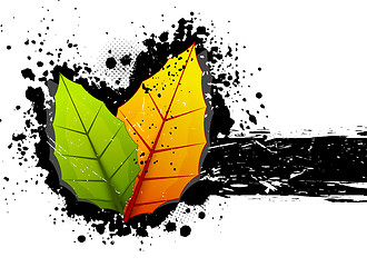 Image showing Grunge background with leaves