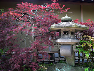 Image showing japanese garden