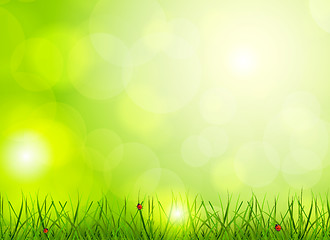 Image showing Bright green background