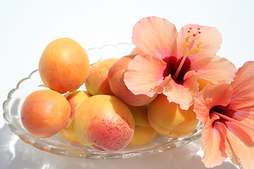 Image showing Apricots 