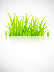 Image showing Background with grass