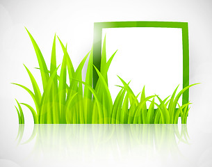 Image showing Green frame in grass