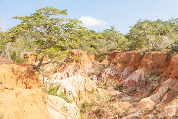 Image showing Marafa Canyon - Kenya