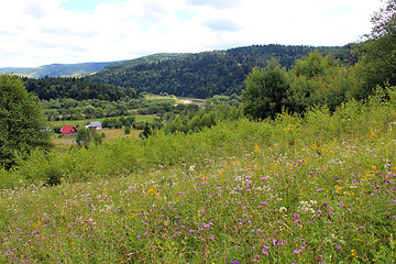 Image showing view to Carpathian mountains