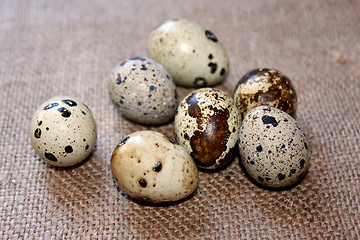 Image showing eggs of the quail on the fabric with sacking