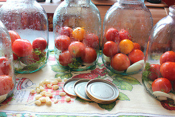 Image showing tomatos in jars prepared for preservation