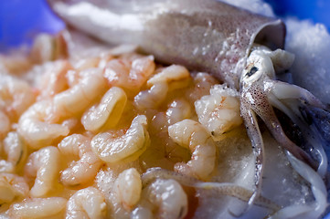 Image showing seafood