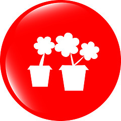 Image showing Flowerpot with plant - web icon isolated