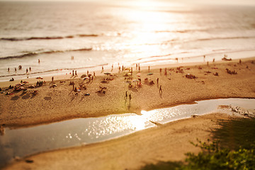 Image showing Timelapse Beach on the Indian Ocean. India (tilt shift lens).