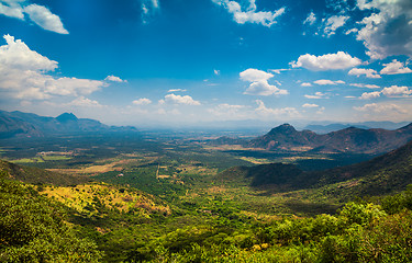 Image showing Tea plantations in India