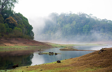 Image showing India Kumily, Kerala, India - National park Periyar Wildlife San