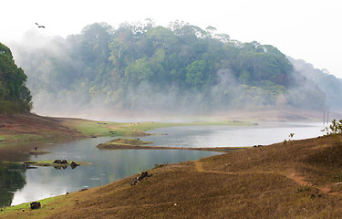 Image showing India Kumily, Kerala, India - National park Periyar Wildlife San