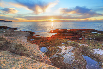 Image showing Red and green algae covered rocks at sunrise  Coogee, Sydney Aus