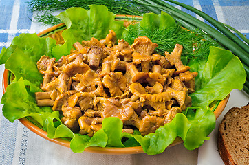 Image showing Fried mushrooms of chanterelle on a dish together with lettuce l