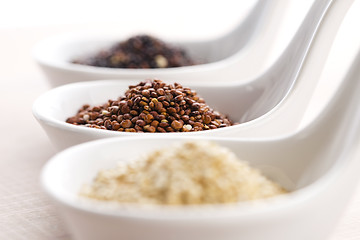 Image showing Quinoa grain