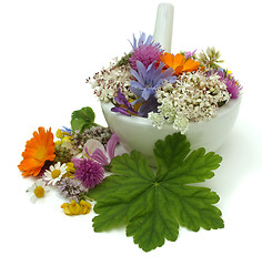 Image showing Herbs