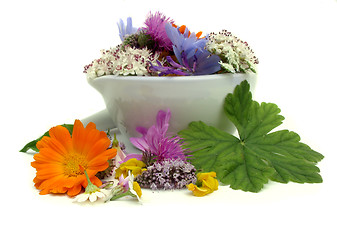 Image showing Herbs