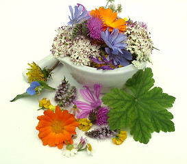 Image showing Herbs