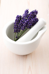 Image showing Lavender flowers in a mortar