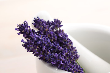Image showing Lavender flowers in a mortar