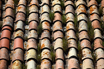 Image showing tile roof  grassy