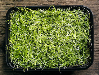 Image showing box of garlic sprouts