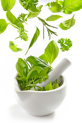 Image showing green herbs falling into mortar and pestle