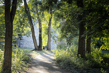 Image showing Lone woman in wood