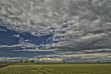 Image showing Wheat field in Romagna