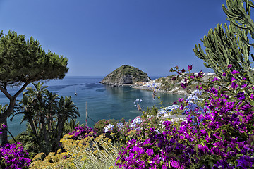 Image showing View of SantAngelo in Ischia Island