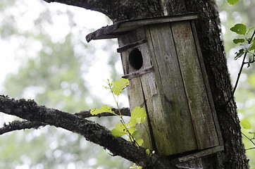 Image showing old wooden birdhouse on a tree