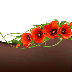 Image showing Poppy background