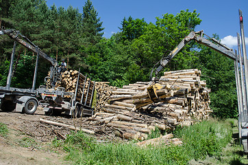 Image showing workers load wood to truck with crane 