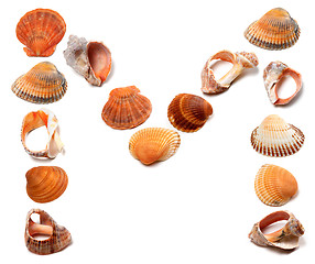 Image showing Letter M composed of seashells