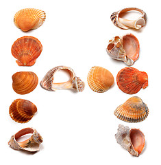 Image showing Letter H composed of seashells