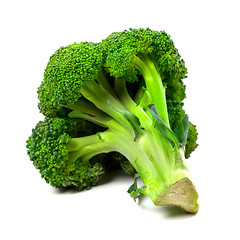 Image showing Broccoli on white background