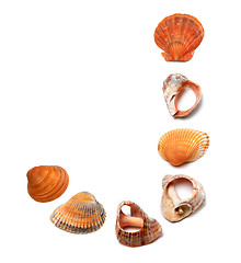 Image showing Letter J composed of seashells