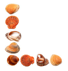 Image showing Letter L composed of seashells