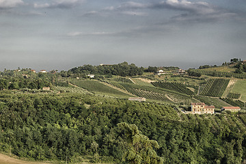 Image showing Vineyards on  hills at sunset