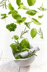 Image showing green herbs falling into mortar and pestle