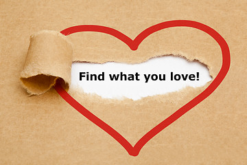Image showing Find what you love Torn Paper