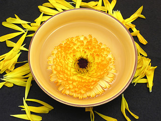 Image showing Water with marigold surrounded by yellow petals